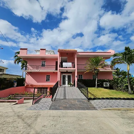 Selva Boutique Hotel - Luquillo Oceanfront Retreat - Adults Only-2
