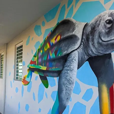 The Surfing Turtle-3