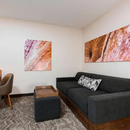 Springhill Suites Grand Rapids North-3
