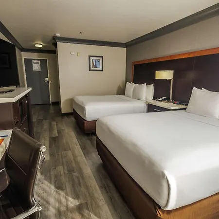 Comfort Inn & Suites Near Universal - N Hollywood - Burbank-2