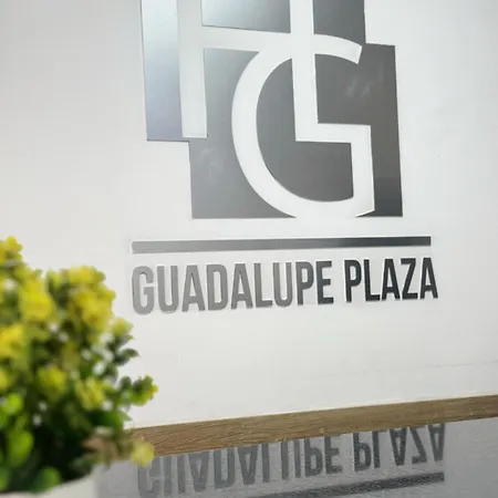 Hotel Guadalupe Plaza-3