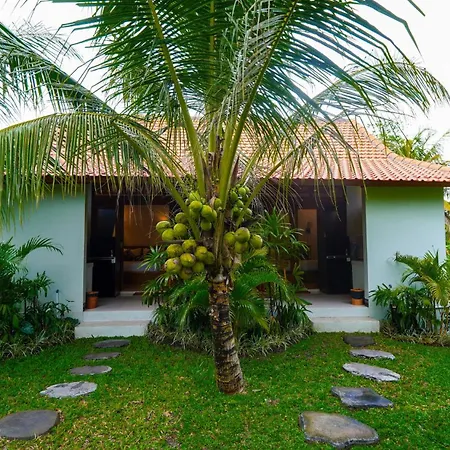 Green Coconut Cottage-2