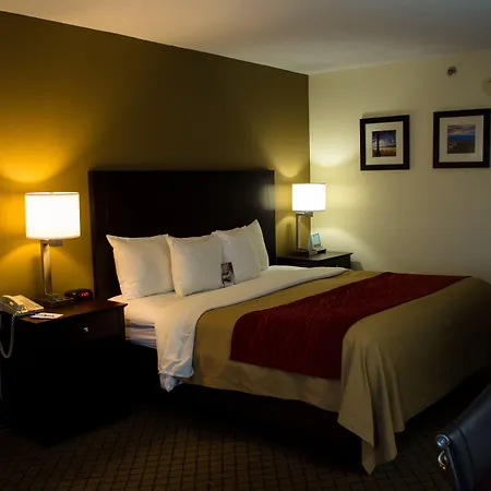 Quality Inn Clarksville - Exit 11-3