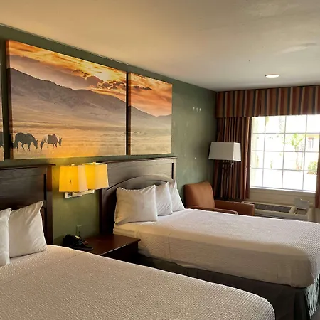 Days Inn By Wyndham Nacogdoches/Sfa University/Downtown-3