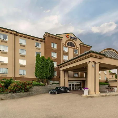 Comfort Inn & Suites-2