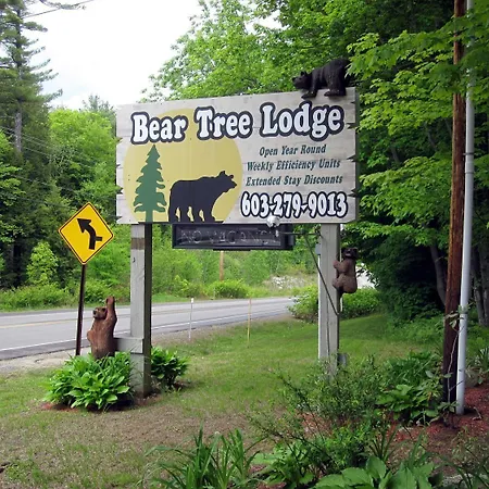 Bear Tree Lodge-2