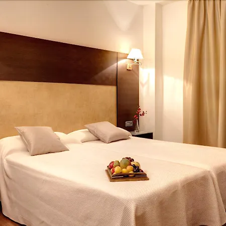 Hotel Madrid Torrejon Plaza-3