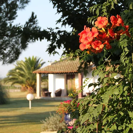 Hotel Mas Des Barres-3