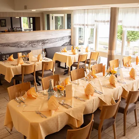 Hotel Villa am Rhein-2