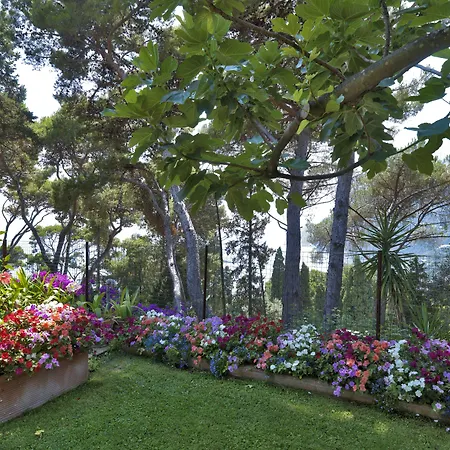 Hotel Villa Brunella-3