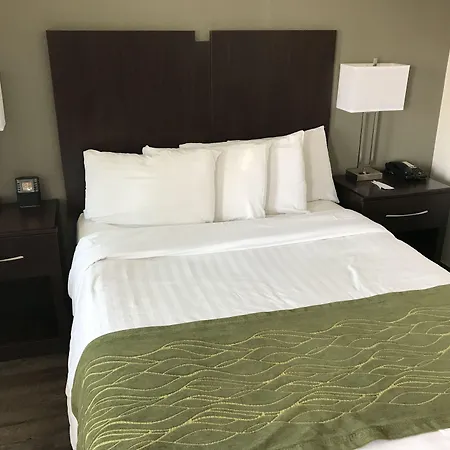 Hi View Inn & Suites-3