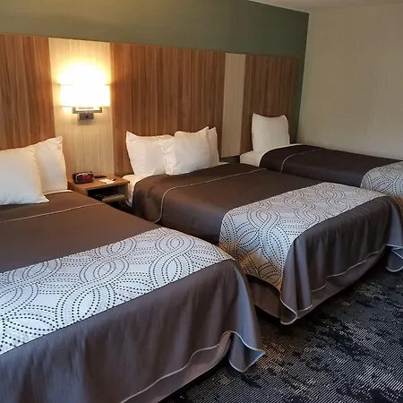 Aartpark Hotel Inn At Lewsiton-3