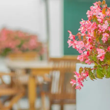 Comercial Boutique Guest House-3