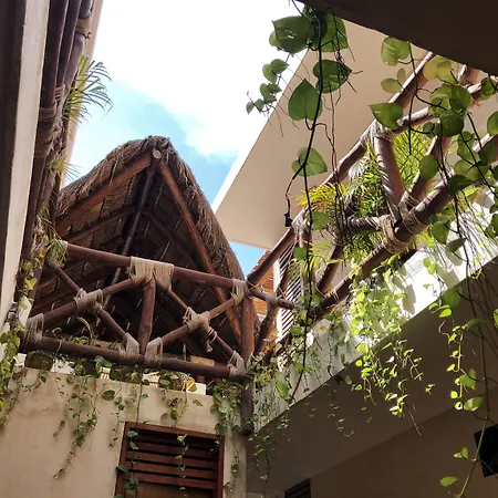 Hotel Bohonito Holbox-3