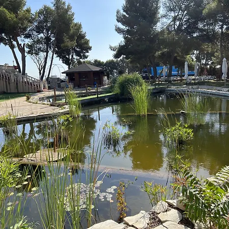 Hotel El Cisne-3