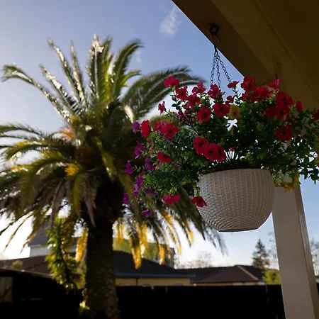 Birchwood Spa Motel-3