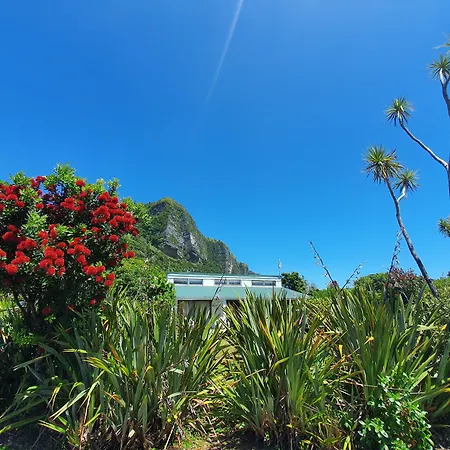 Punakaiki Beach Camp-3