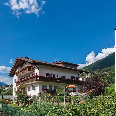 Guesthouse Pension Grafenstein-3