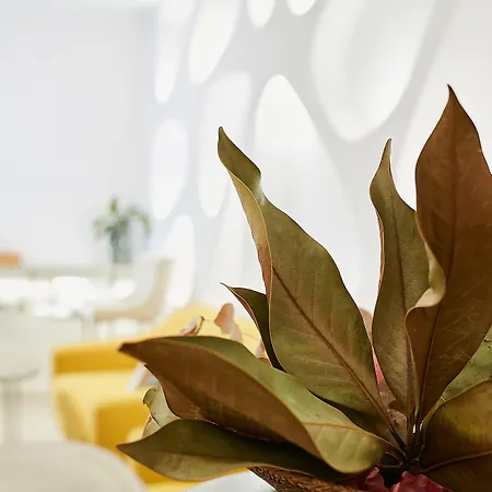 Hotel Suite Generis (Adults Only)-3