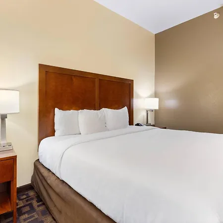 Comfort Inn & Suites North Aurora - Naperville-3