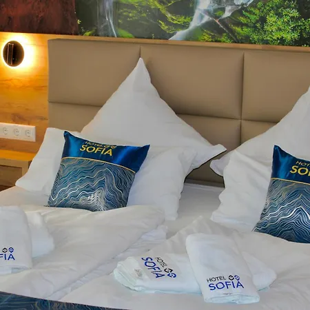 Hotel Sofia-2