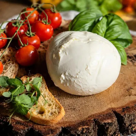 Medea Beach Resort - Cultural Stay Near Amalfi Coast & Paestum-3