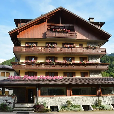 Hotel Pineta-3