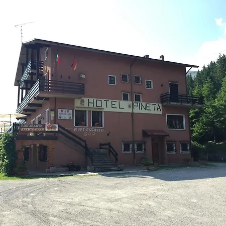 Albergo Ristorante Pineta-3