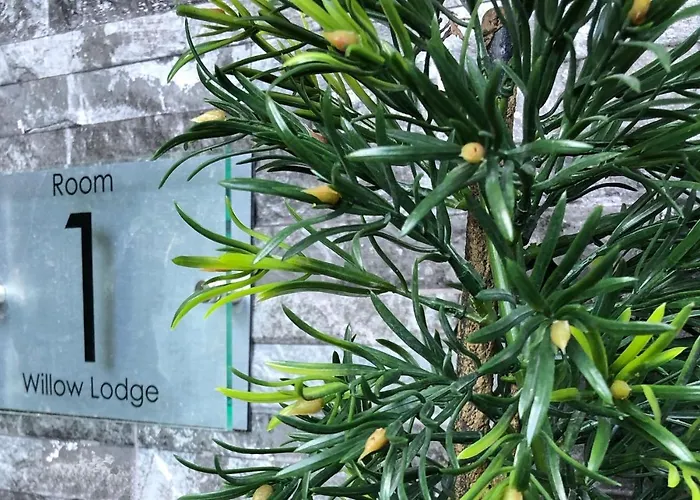 Willow Lodge Hambleton