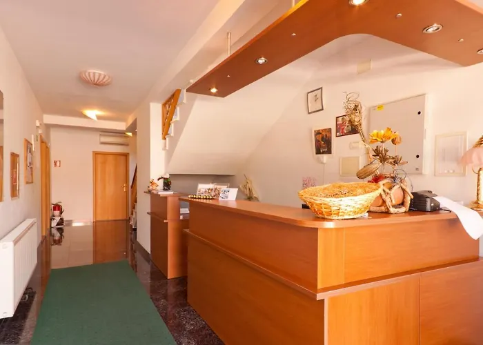 Hotel Meduza