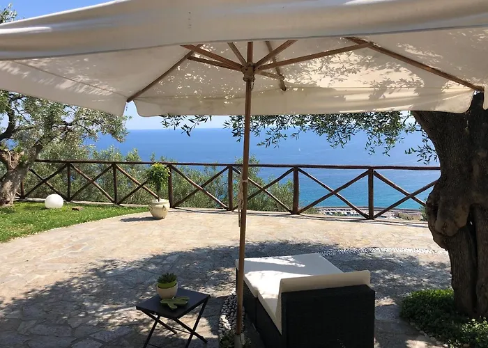 Villa Degli Ulivi B&B
