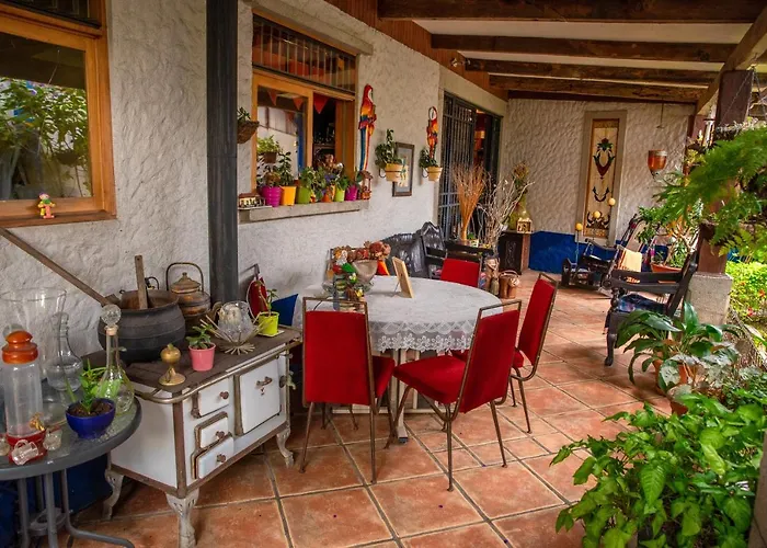 La Casa de Mamá Coyita