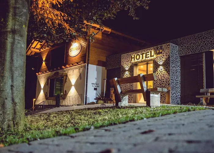 Steig-Alm Hotel Superior