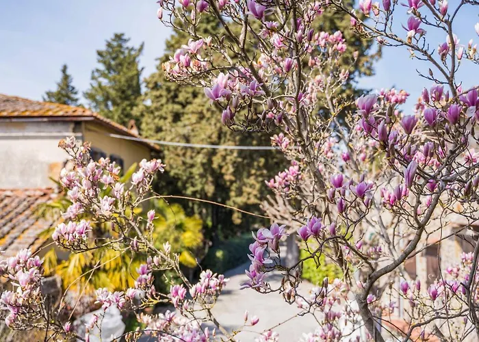 La Magnolia Bed & Breakfast Greve in Chianti