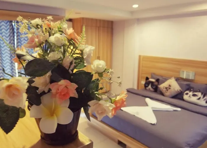 Cat Story Hotel