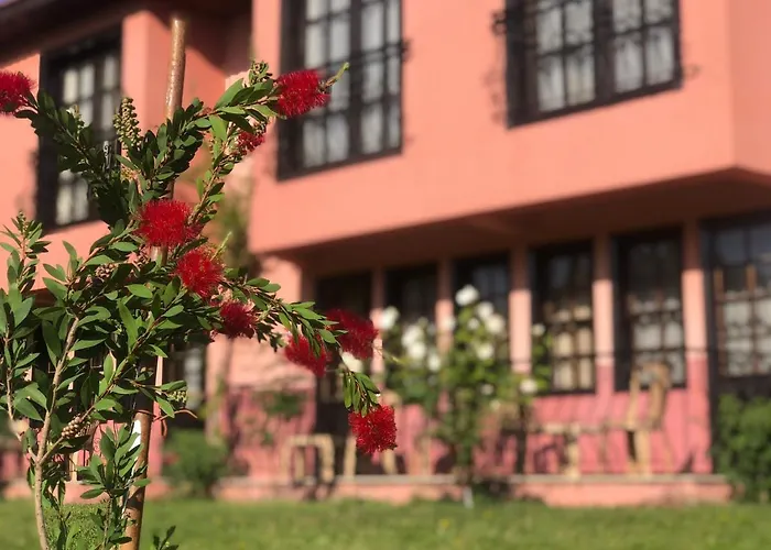 Hotel Palme Dalyan