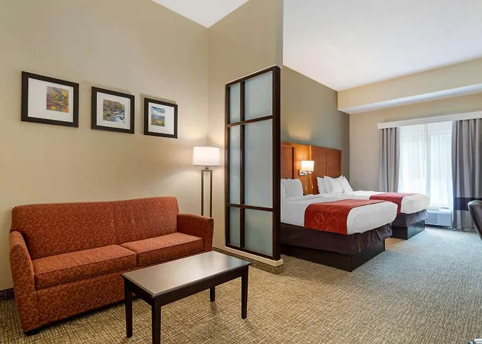 Comfort Suites Kingsport South