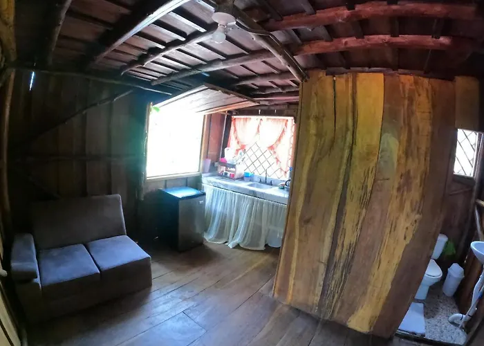 Tree House Samanea Lodge