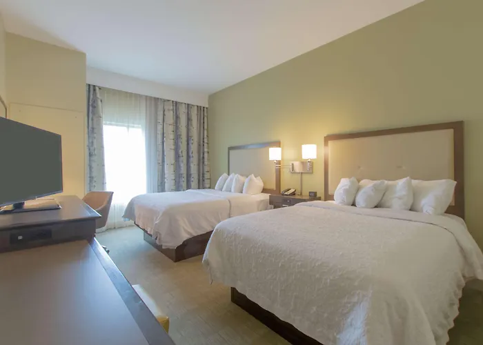 Hampton Inn - Great Falls