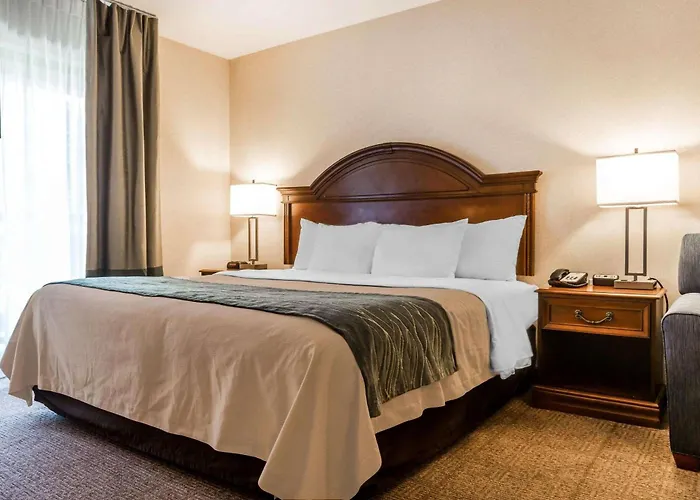 Comfort Inn & Suites South Burlington Near University