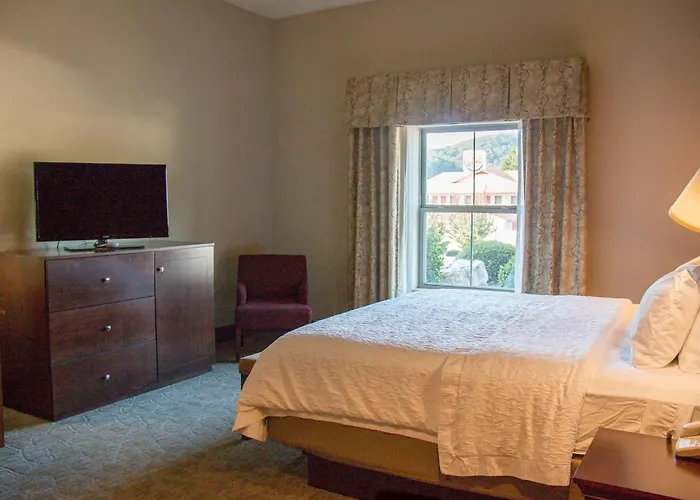 Hampton Inn Murphy