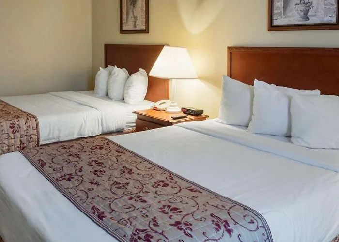 Rodeway Inn Greenville