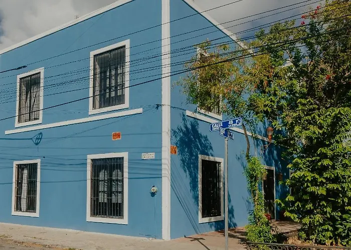 Nido Colibri - Private Rooms And Hostel Dorms In Remate De Paseo Montejo