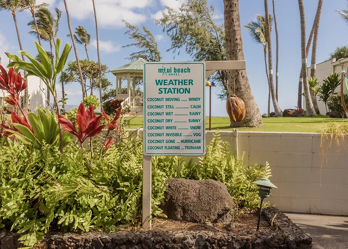Maui Beach Hotel