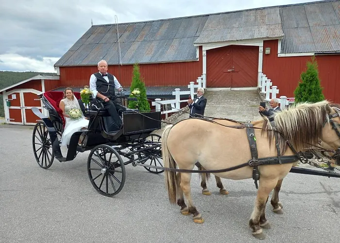 Hotell Eikerapen Gjestegard Aseral