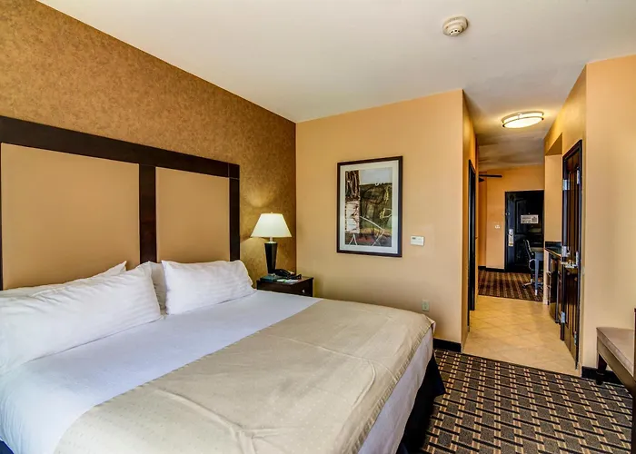 Holiday Inn Arlington Northeast By Ihg