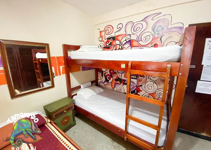 Tamarindo Hostel San Pedro Sula