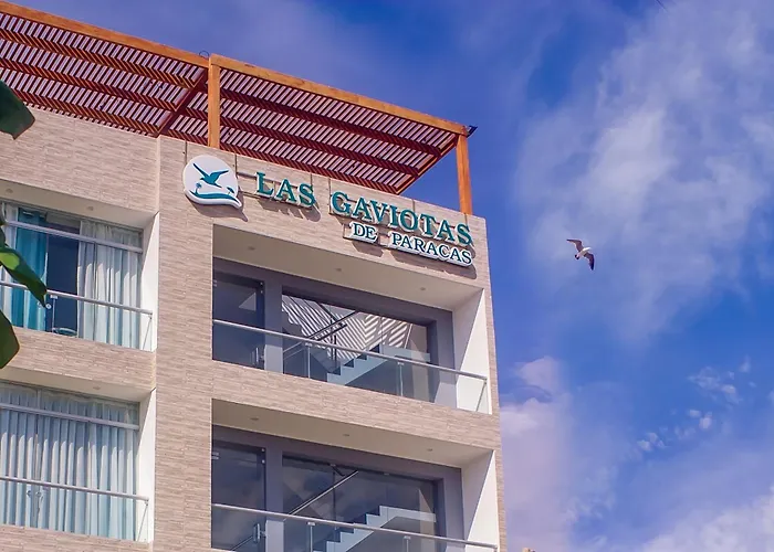 Las Gaviotas De Paracas