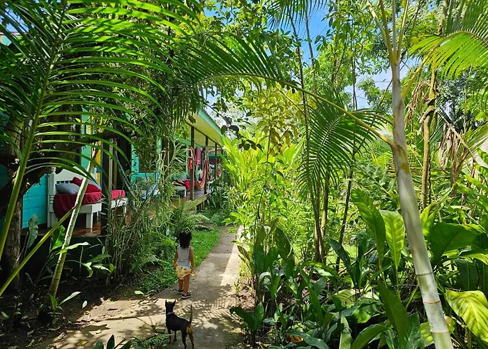 Cabinas Tortuguero