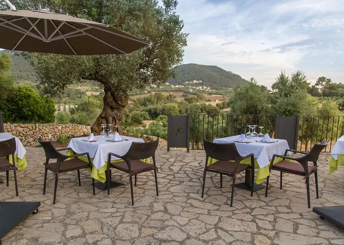 Fincahotel Treurer - Olive Grove & Grand House - Adults Only